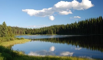 Norsask